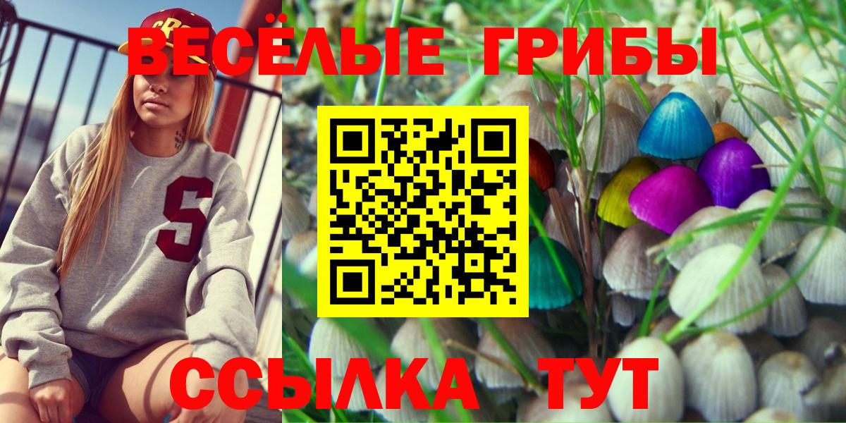 Гусь-Хрустальный  Галлюциногенные грибы Psilocybine cubensis  Вход с VPN 