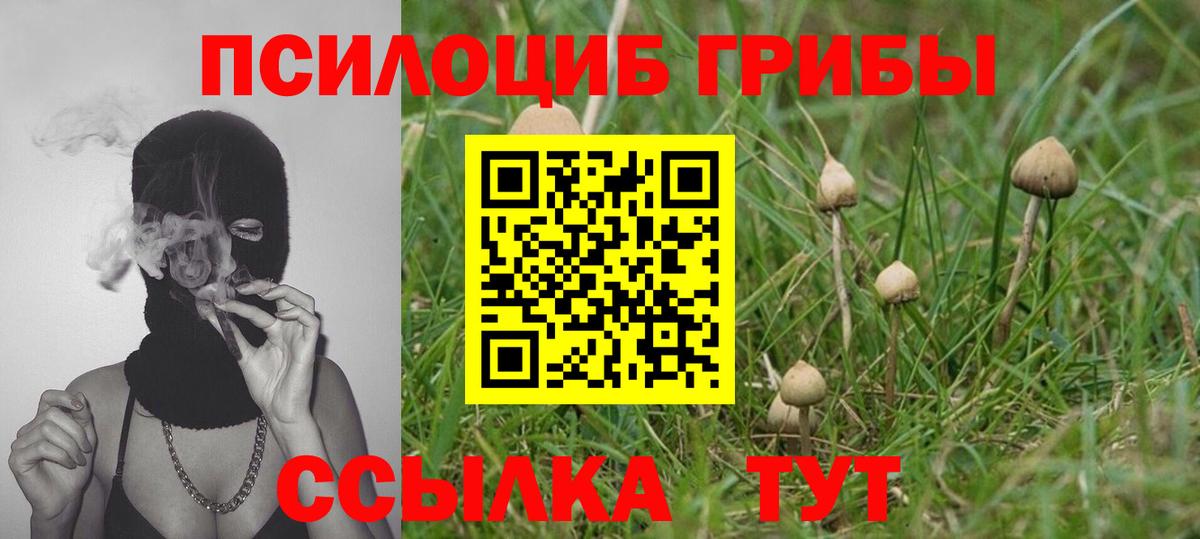 Галлюциногенные грибы мицелий Гусь-Хрустальный